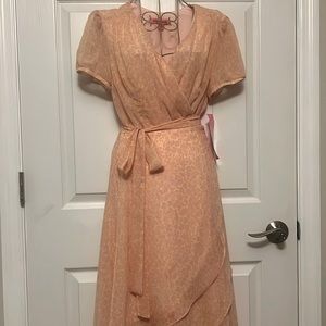 LAST CHANCE!! Betsey Johnson Dress